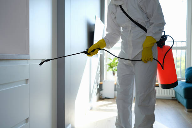 Best Residential Mold Removal  in Chaffee, MO